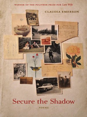 cover image of Secure the Shadow